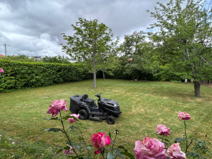 Photo de galerie - Tonte de pelouse - Débroussaillage