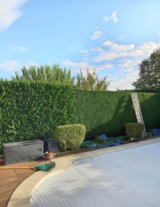 Photo de galerie - Bonjour entreprise Manuel je vous propose mais service devis et déplacement gratuit rendez vous rapide et des prix très intéressant n'hésitez pas à me contacter au 0650929850