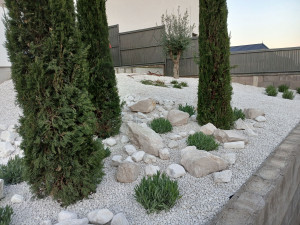 Photo de galerie - Paysagiste - Aménagement du jardin