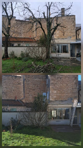 Photo de galerie - Démontage d'un cerisier 