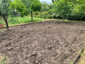 Photo de galerie - Paysagiste - Aménagement du jardin