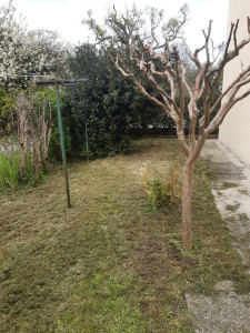 Photo de galerie - Jardinier
