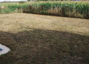 Photo de galerie - Tonte de pelouse - Débroussaillage