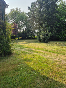 Photo de galerie - Tonte de pelouse - Débroussaillage