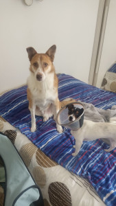 Photo de galerie - Till et Vaia 