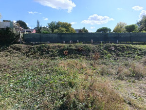 Photo de galerie - Chantier de débroussaillage 