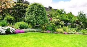 Photo de galerie -  PELOUSE JARDIN