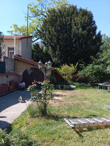 Photo de galerie - Elagage et coupe d'arbres