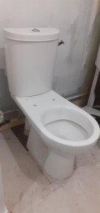 Photo de galerie - Installation toilettes 