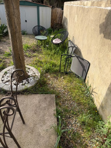 Photo de galerie - Tonte de pelouse - Débroussaillage