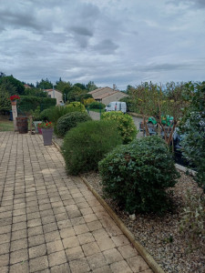 Photo de galerie - Taille d'un massif 