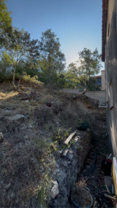 Photo de galerie - Tonte de pelouse - Débroussaillage