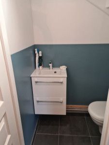 Photo de galerie - Pose de toilette suspendu + vasque
ratissage et peinture des murs