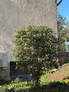 Photo de galerie - Paysagiste - Aménagement du jardin