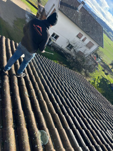 Photo de galerie - Application d’un algimousse 