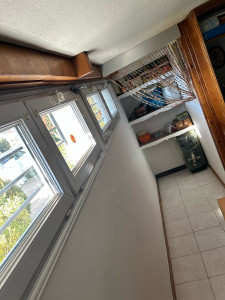 Photo de galerie - Peinture - Tapisserie