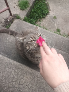 Photo de galerie - Grucha