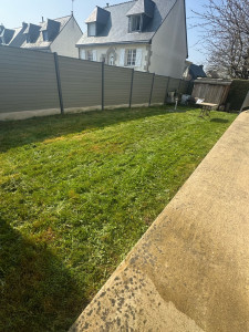 Photo de galerie - Tonte de pelouse 