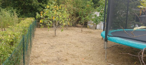 Photo de galerie - Tonte de pelouse - Débroussaillage