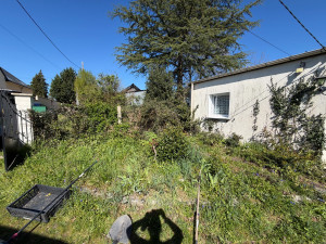 Photo de galerie - Jardin laisser à l’abandon durant quelques années.
