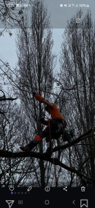 Photo de galerie - Taille hivernale 