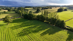 Photo de galerie - Photo aérienne prise en drone 