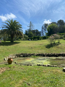 Photo de galerie - Tonte et débroussaillage 