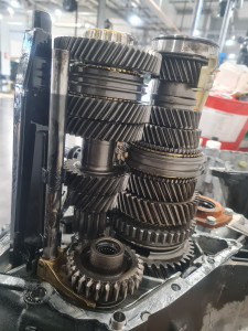 Photo de galerie - 1