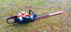 Photo de galerie - Taille de haies et d'arbustes