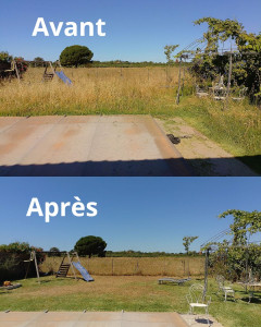 Photo de galerie - Tonte soignée pour un gazon propre et en pleine santé ?