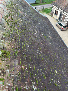 Photo de galerie - Demousage 