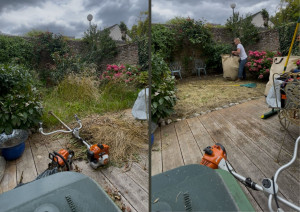 Photo de galerie - Débroussaillage, taille de rosier et d’arbuste dans un petit jardin de la Hotoie 