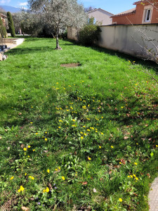 Photo de galerie - Tonte de pelouse - Débroussaillage