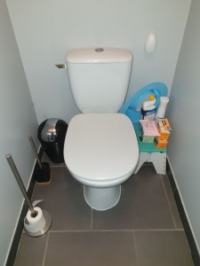 Photo de galerie - Nettoyage WC sans rangement 