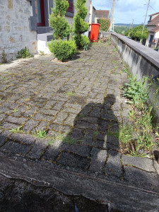 Photo de galerie - Jardinier