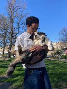 Photo de galerie - Photo d’un petit berger américain que j’ai garder pendant une semaine 