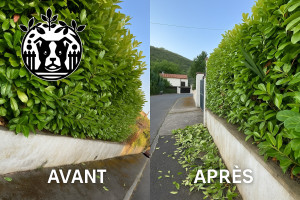 Photo de galerie - Contrat annuel taille d’entretien 