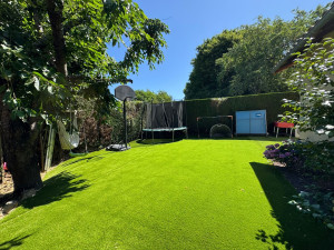 Photo de galerie - Taille haie de tuya 