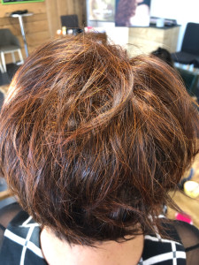 Photo de galerie - Coloration végétale 