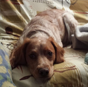 Photo de galerie - Tomy <3