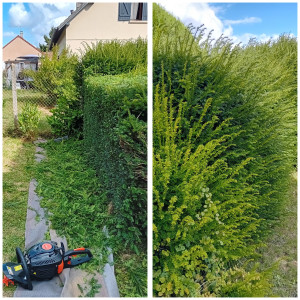 Photo de galerie - Avant-Après d'une petite taille de haie ! 
