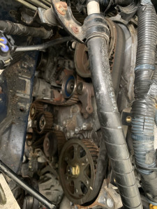 Photo de galerie - Courroie distribution toyota 