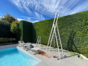 Photo de galerie - Tres bonn et at