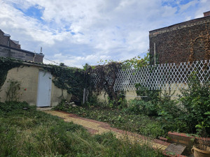 Photo de galerie - Abbatage vigne ( Après )