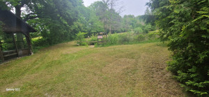 Photo de galerie - Tonte de pelouse - Débroussaillage