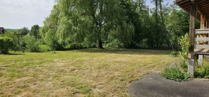 Photo de galerie - Entretien de pelouse