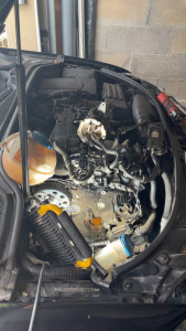 Photo de galerie - Distribution 2.0 tdi 