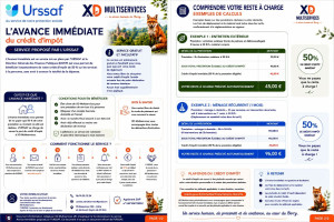 Photo de galerie - Explication et exemple Avance Immédiate crédit d'impôt