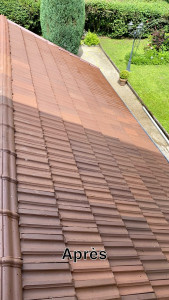 Photo de galerie - Couverture - Toiture