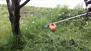 Photo de galerie - Couper l'herbe avec une tondeuse à fil